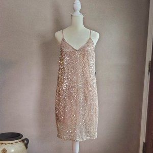 Express Sequin Slip Dress